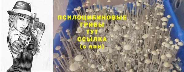 jwh Кодинск